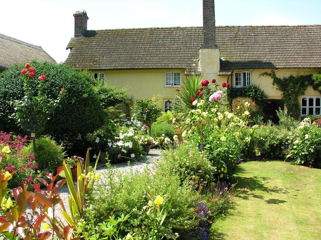 Bed & Breakfast Exmoor Owl & Hawk Centre Bossington